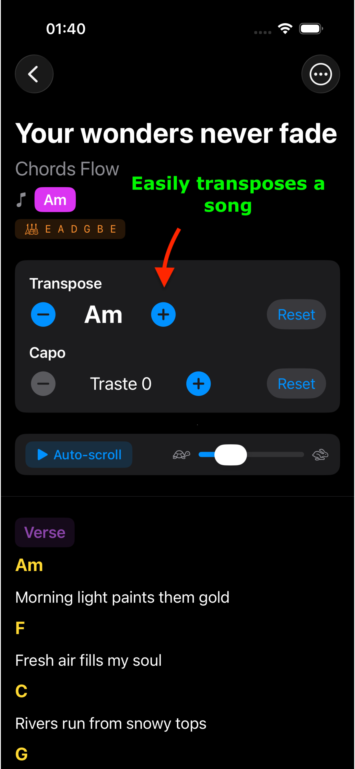 ChordFlow Song View on iPhone